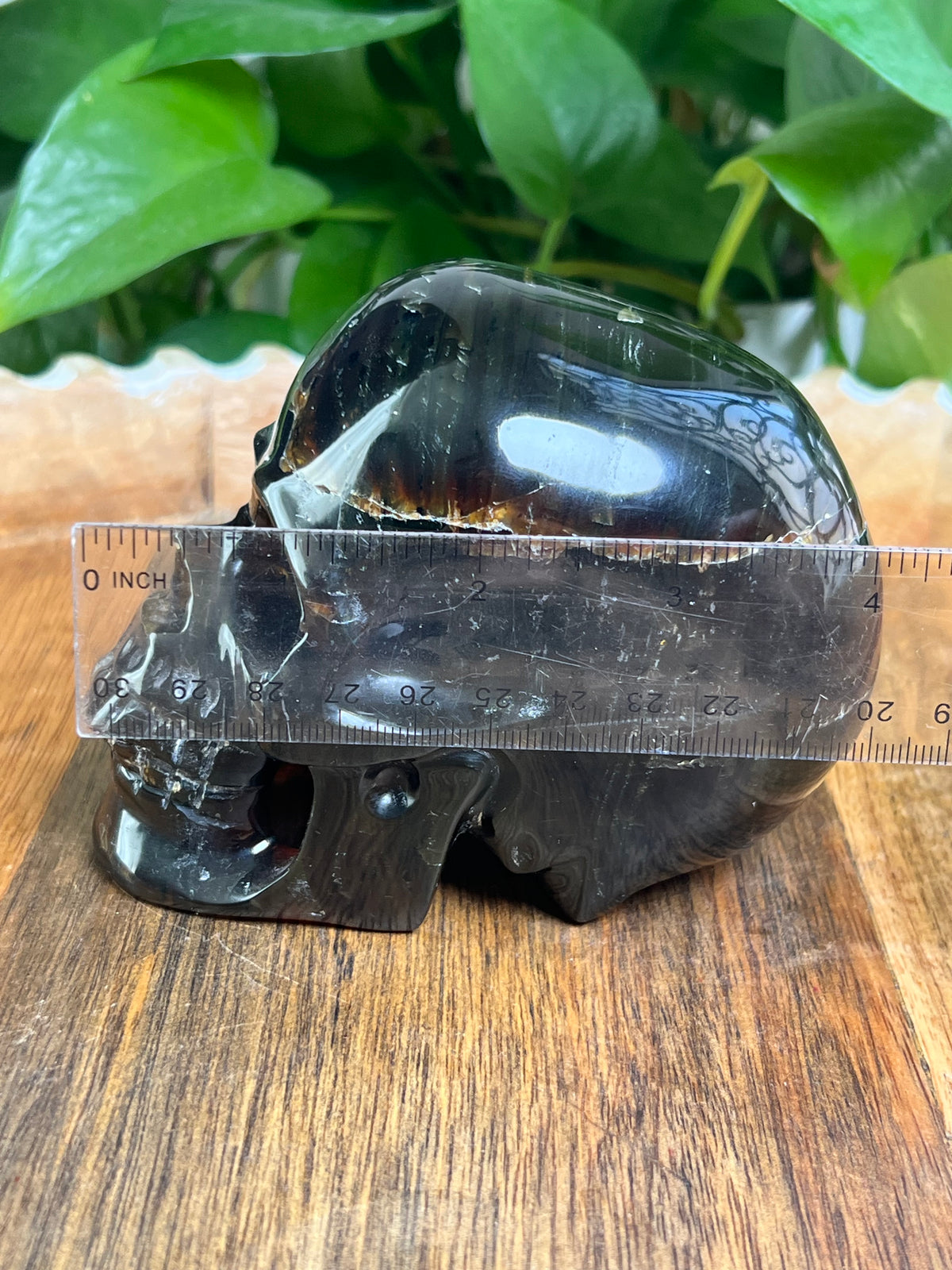 Blue Amber Skull: NX