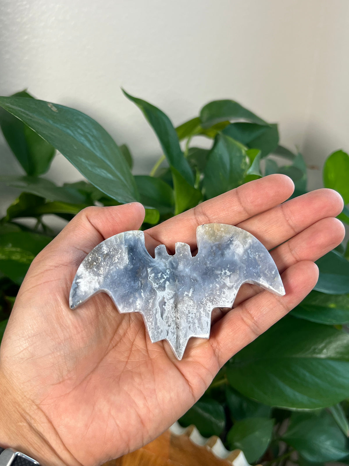 Blue Plume Agate 3D Bats