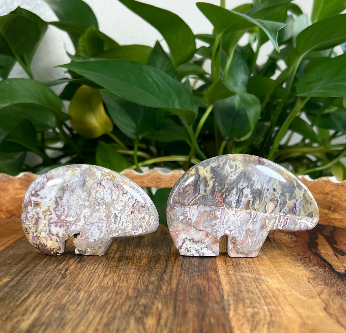 Sumatra Plume Agate Bears