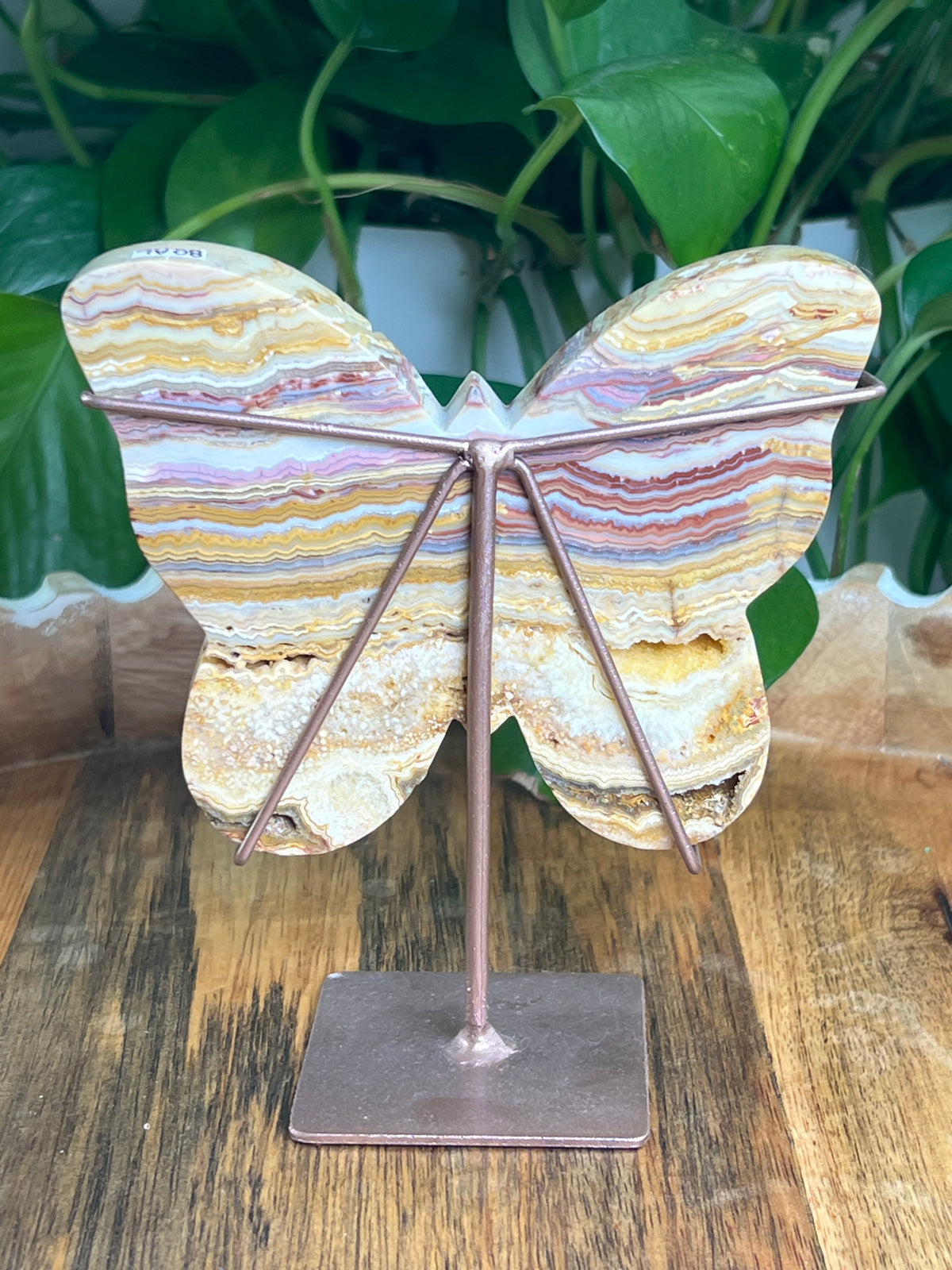 Crazy Lace Agate Butterfly: AL