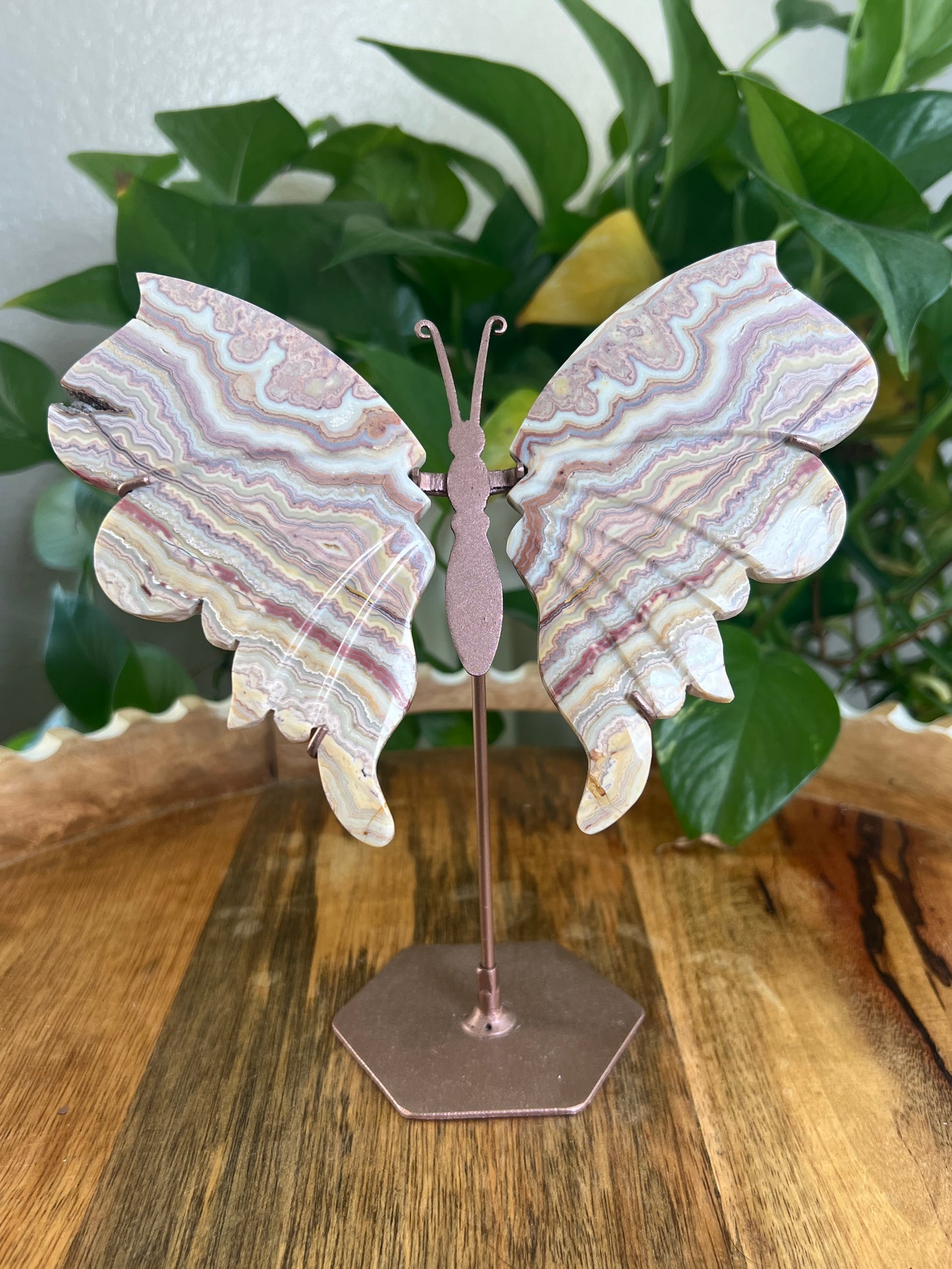 Crazy Lace Agate Wings BA