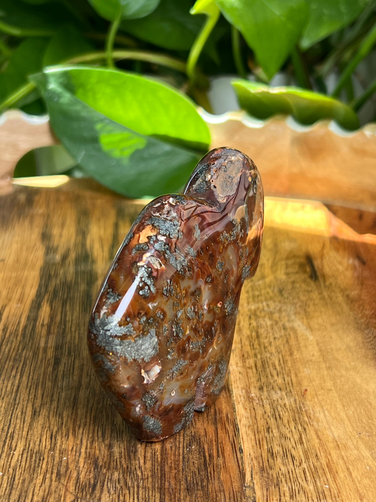 Marcasite Buffalo: CB