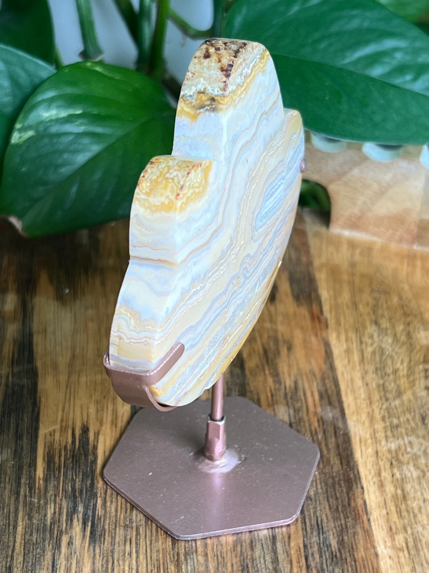 Yellow Crazy Lace Agate Cloud: NB