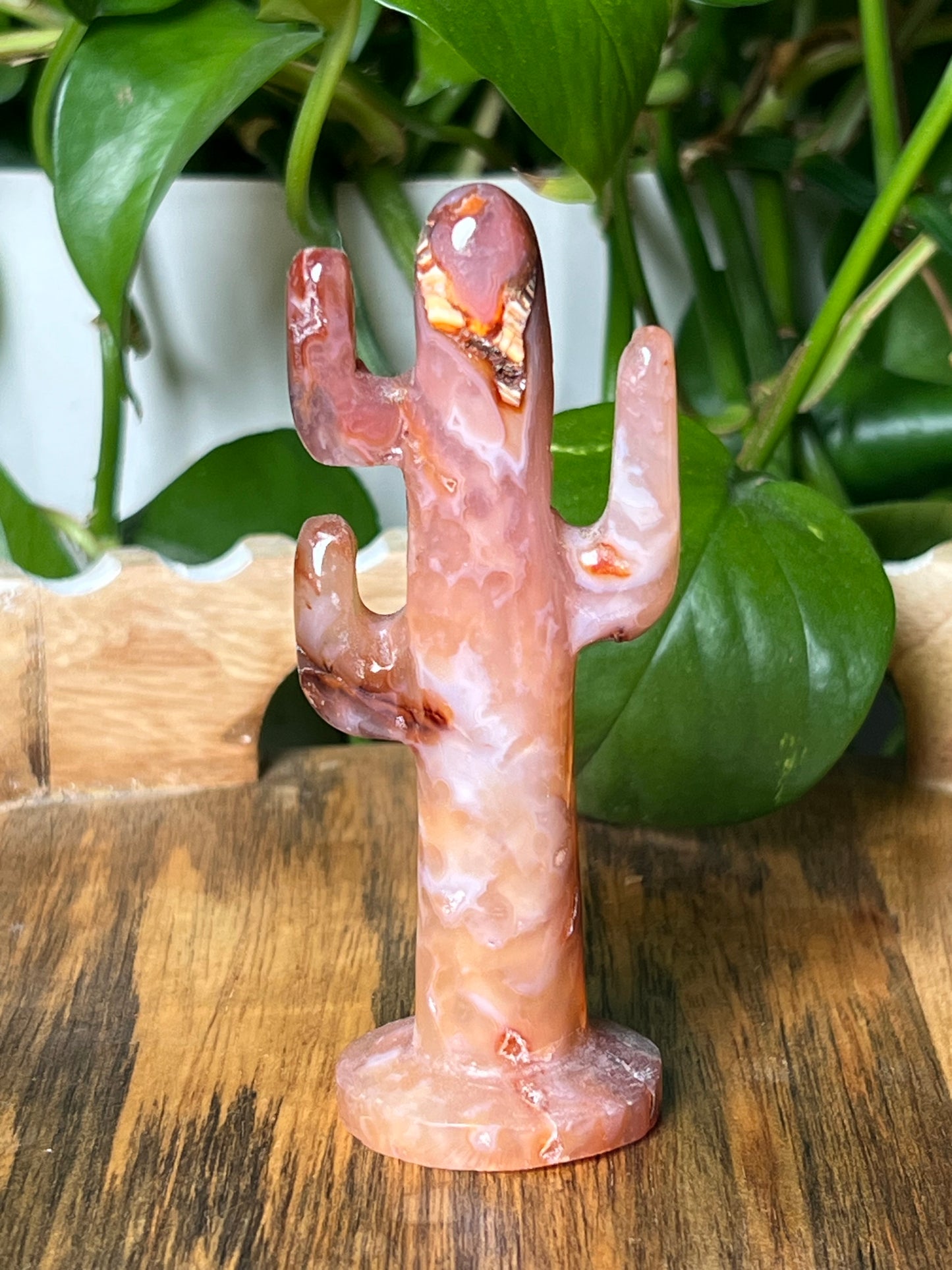 Pink Carnelian Cactus