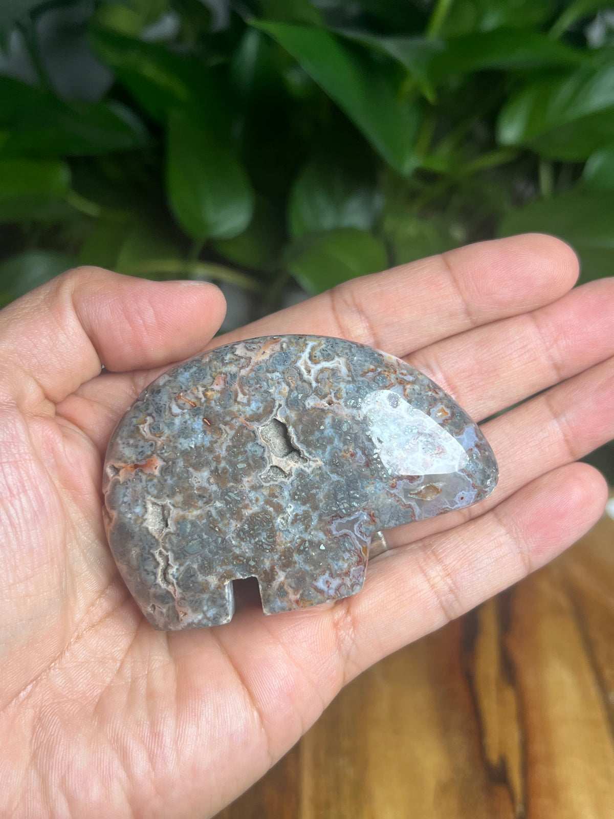 Marcasite Bear: TA