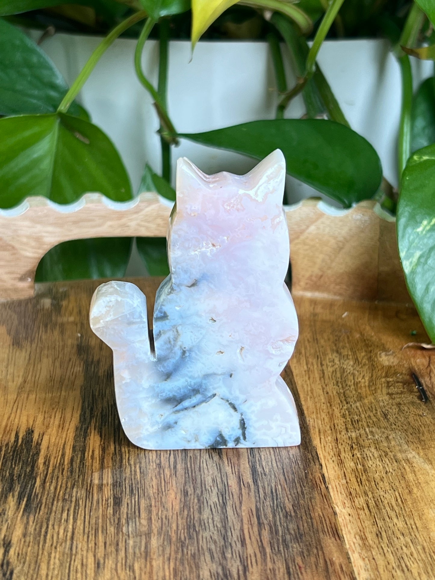 Rainbow Plume Agate Cat NQ
