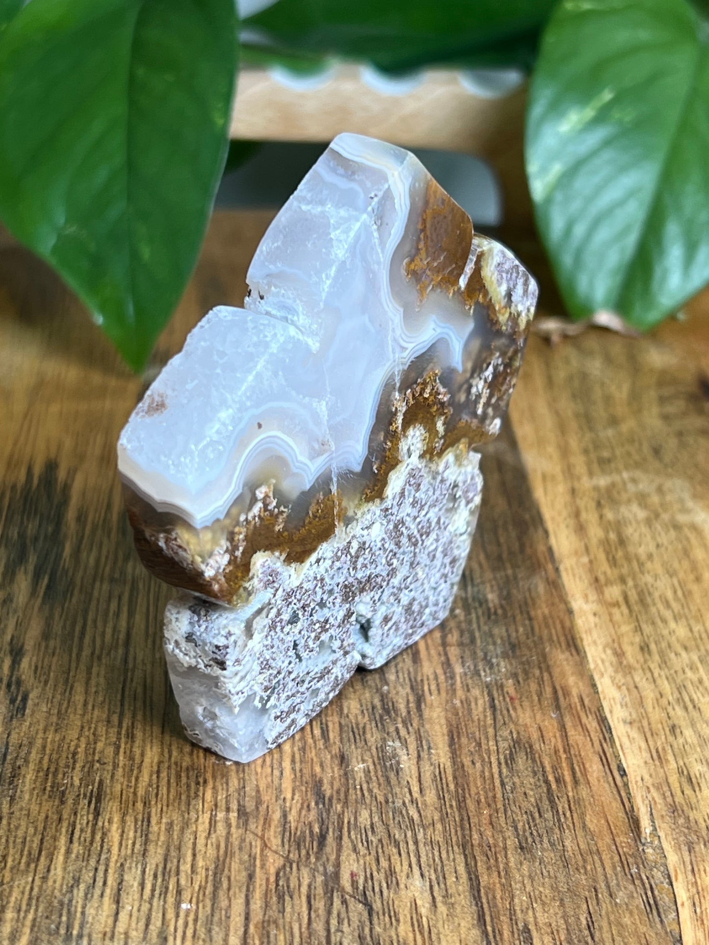 Scenic Moss Agate Flower KC