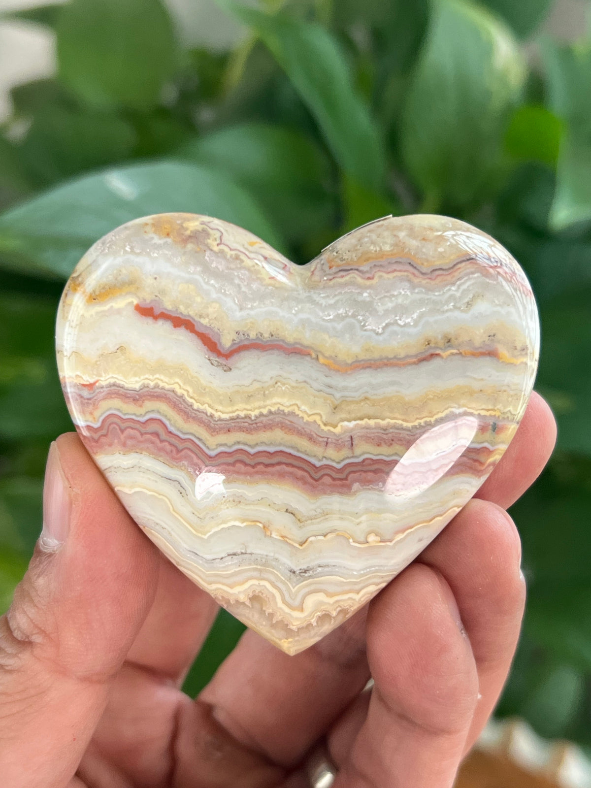 Crazy Lace Agate Small Puffy Moons