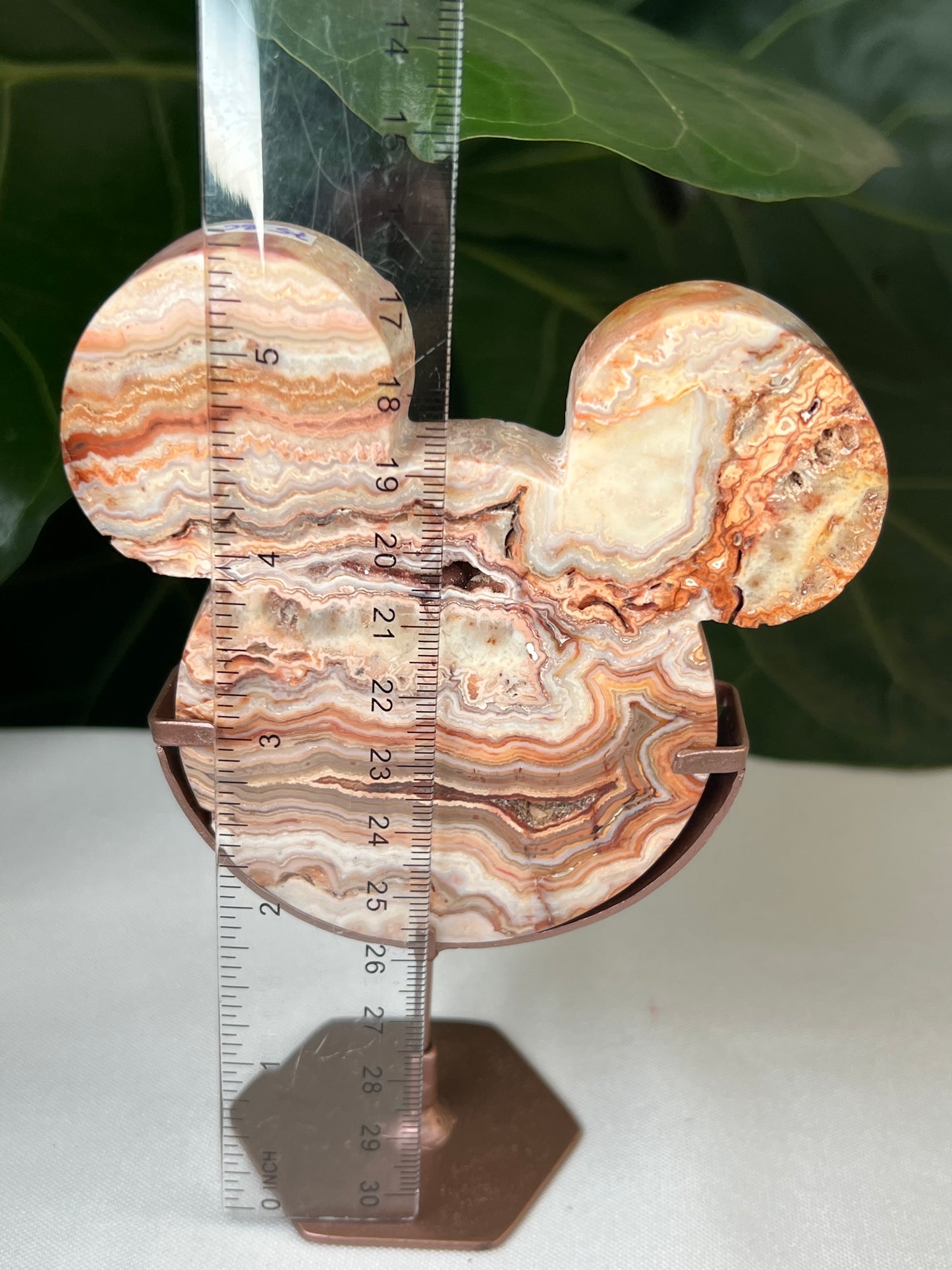 Crazy Lace Agate Bear Head