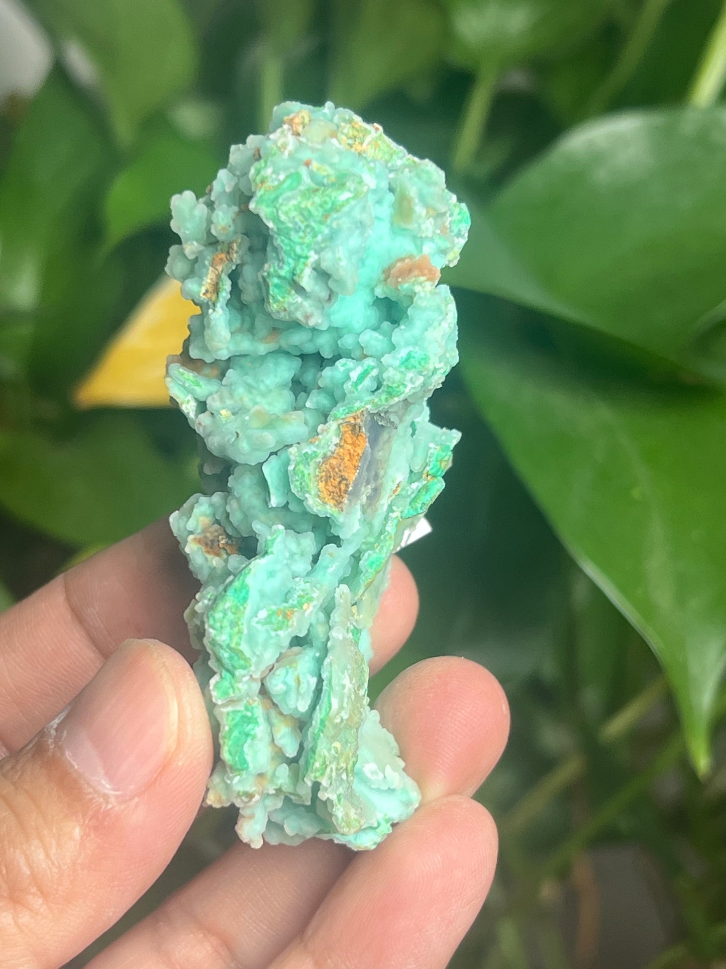 Smithsonite Specimen HS