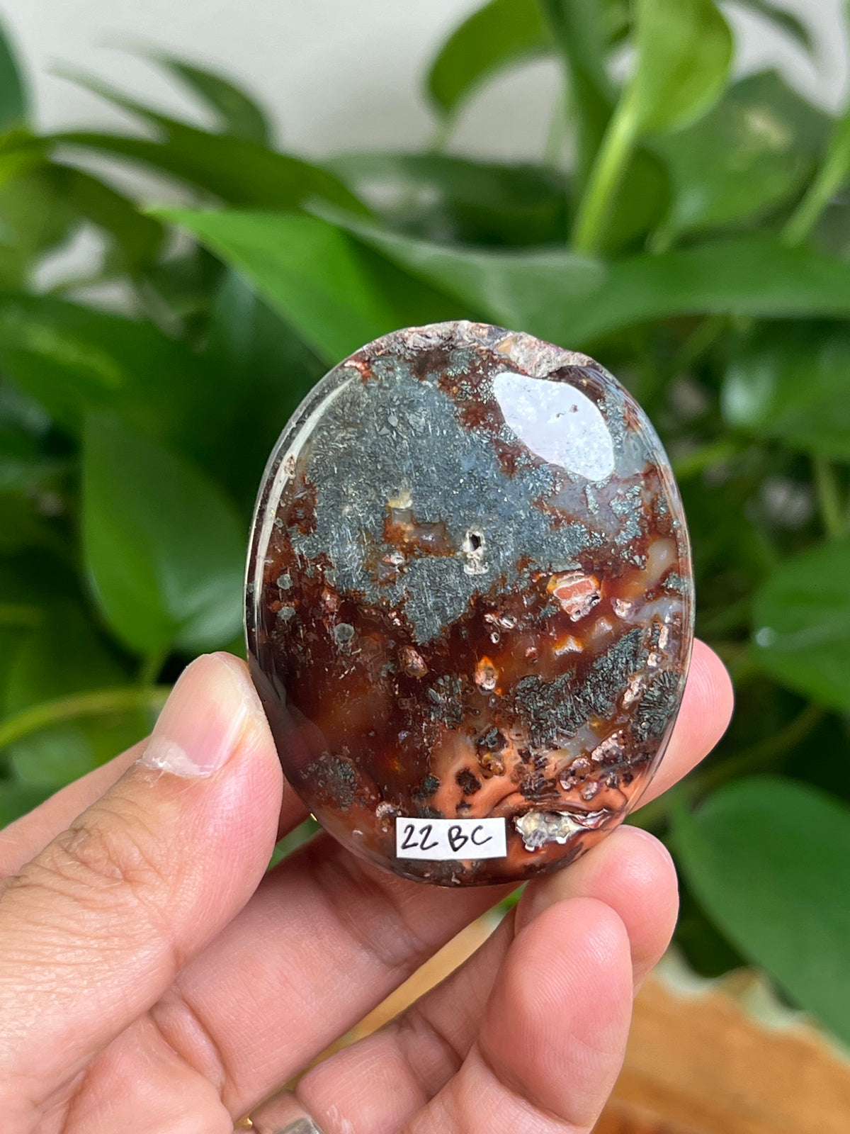 Marcasite Palmstone: BC