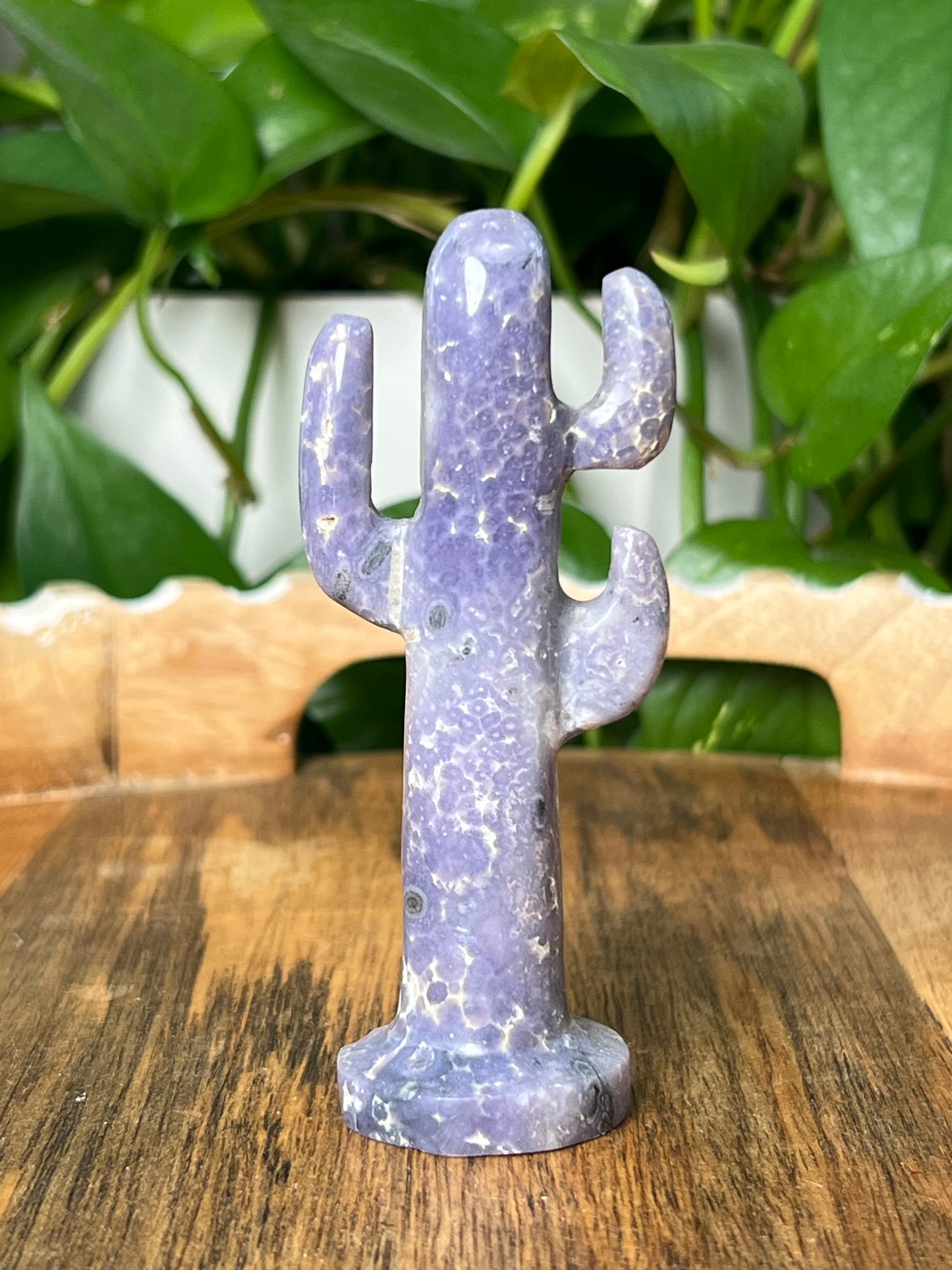 Grape Agate Cactus