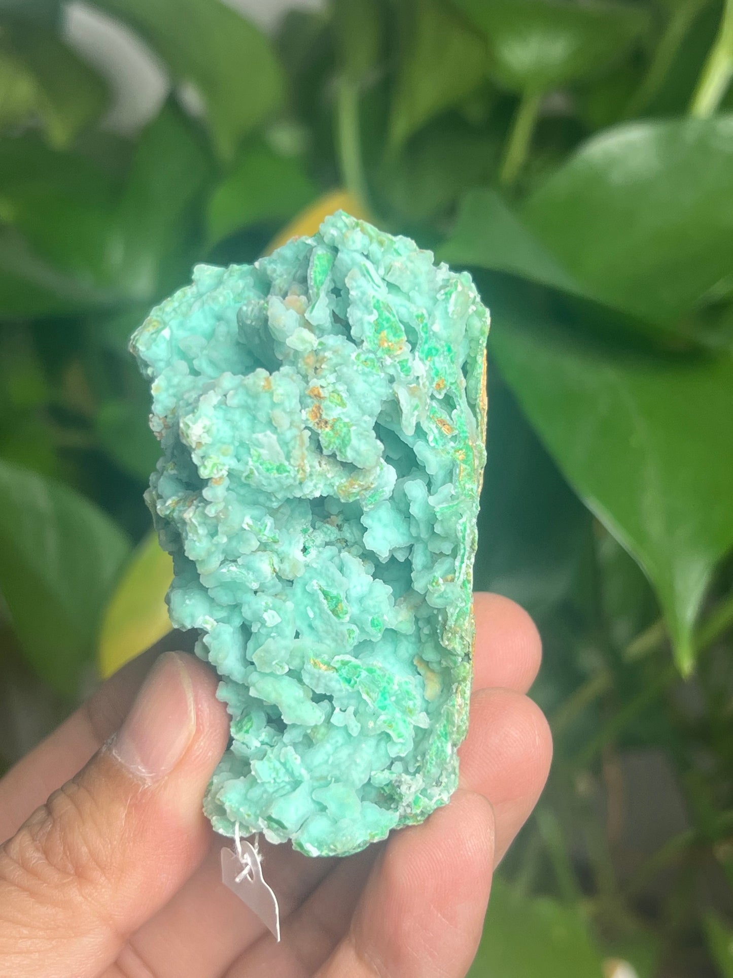 Smithsonite Specimen HB