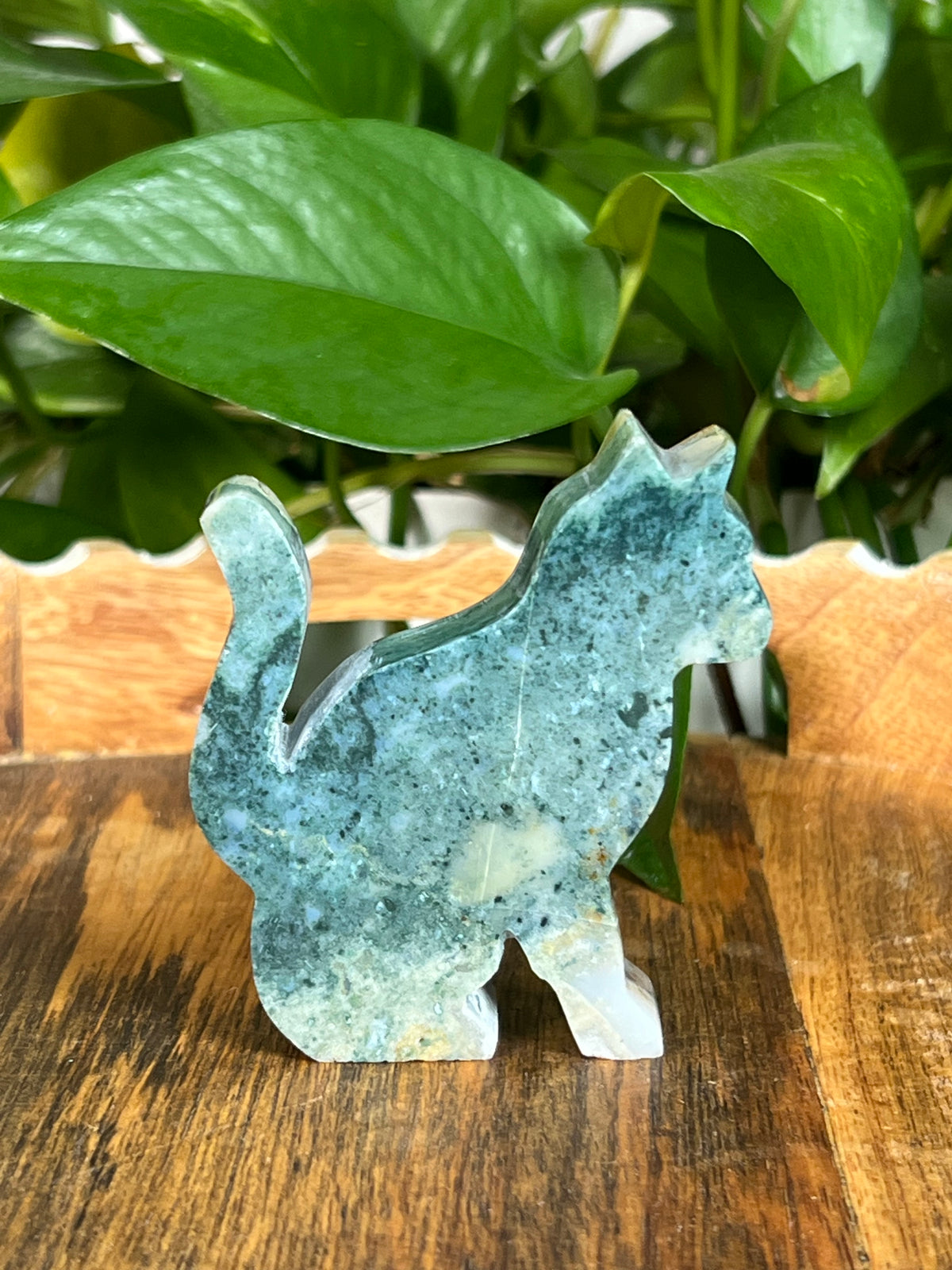 Blue Green Jasper Cats