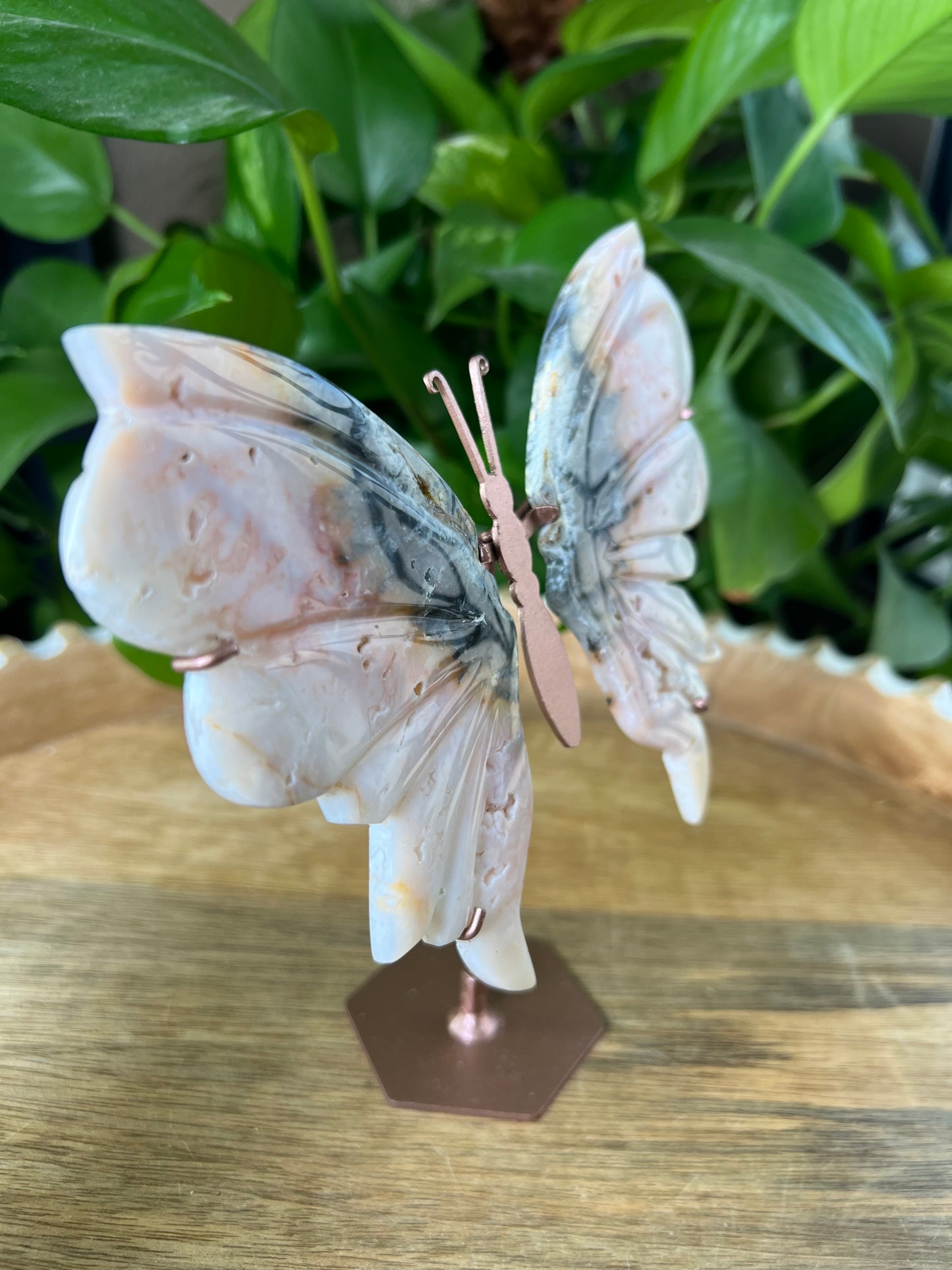 Rainbow Plume Agate Wings