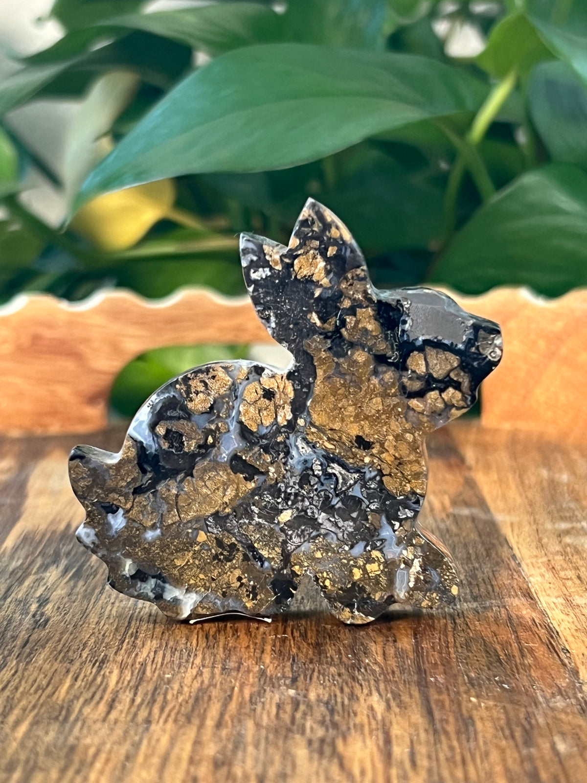 Brecciated Jasper Bunny: AB