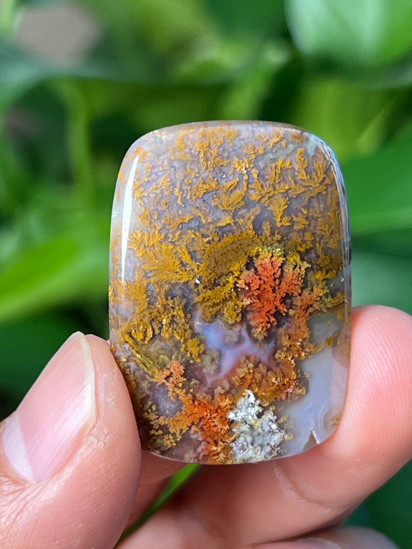 Scenic Moss Agate Cabochon