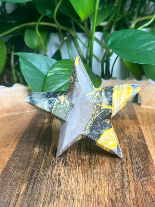 Bumblebee Jasper Star: D