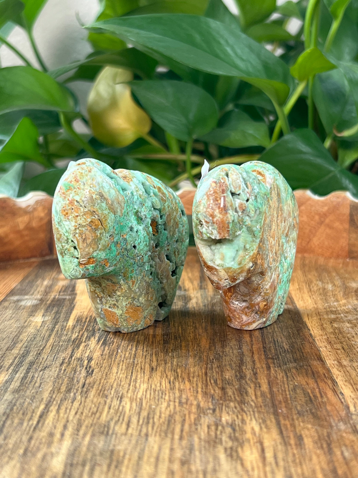 Smithsonite Buffalos
