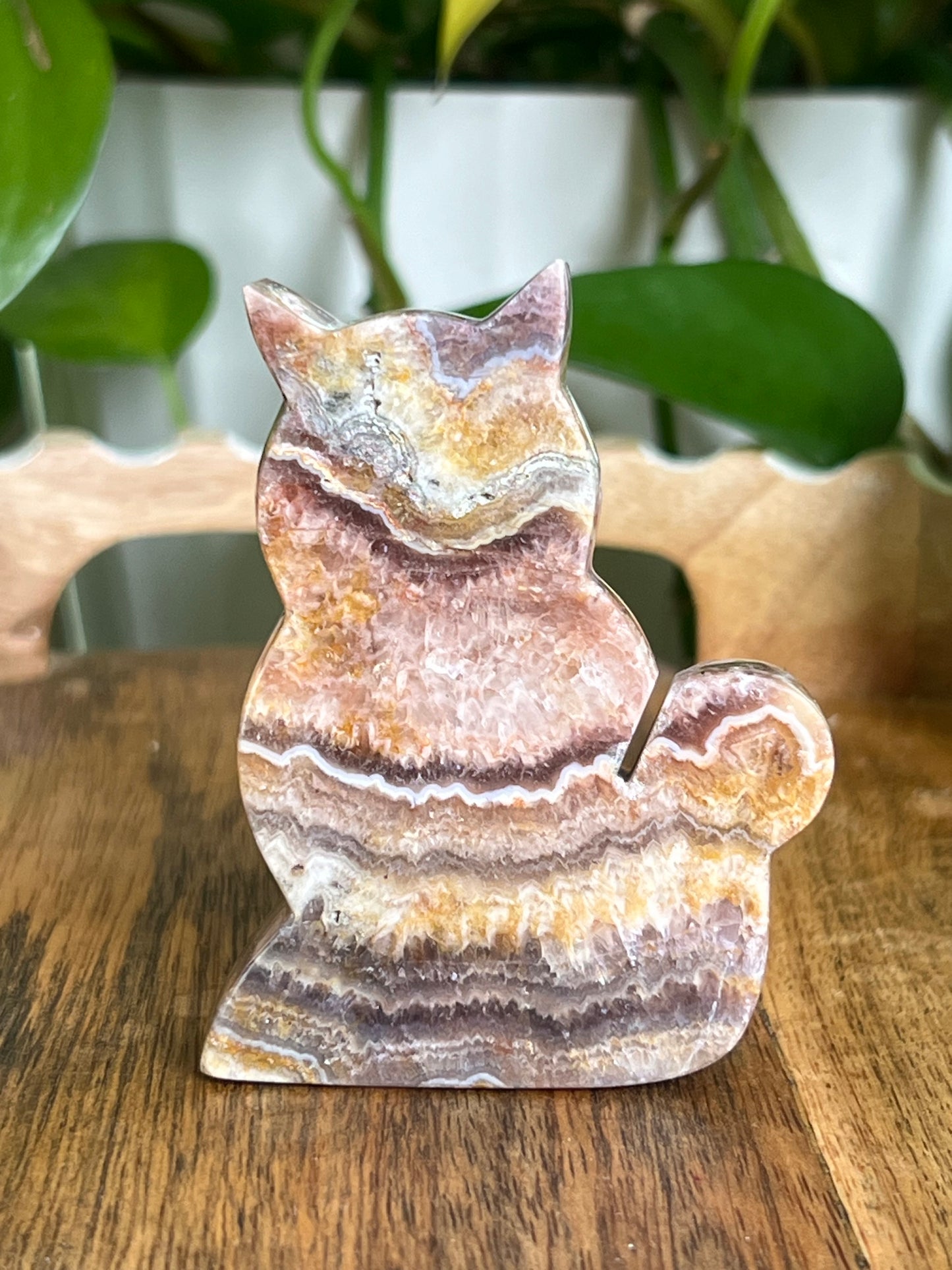 Indonesian Amethyst Cat CD