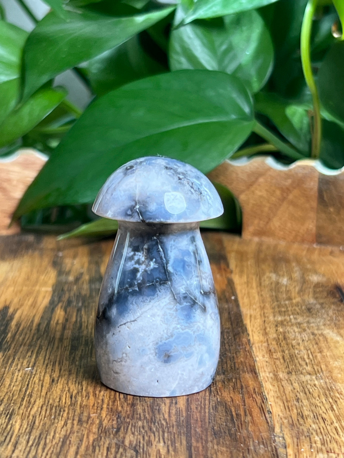Blue Plume Agate Mushroom: EK