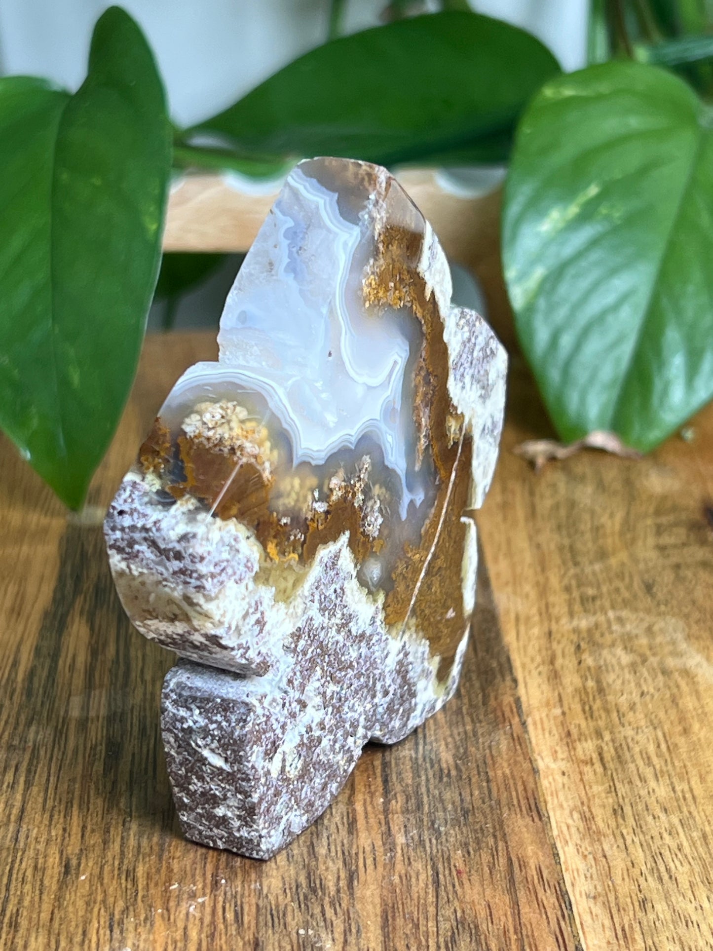 Scenic Moss Agate Flower KK