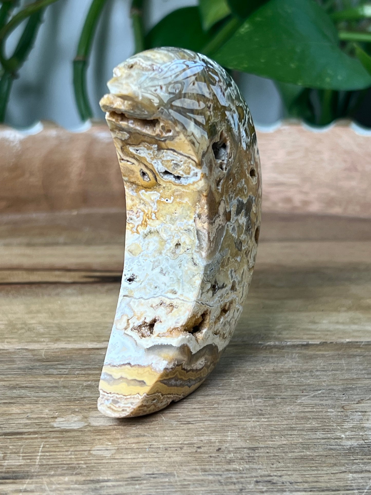 Crazy Lace Agate Moon