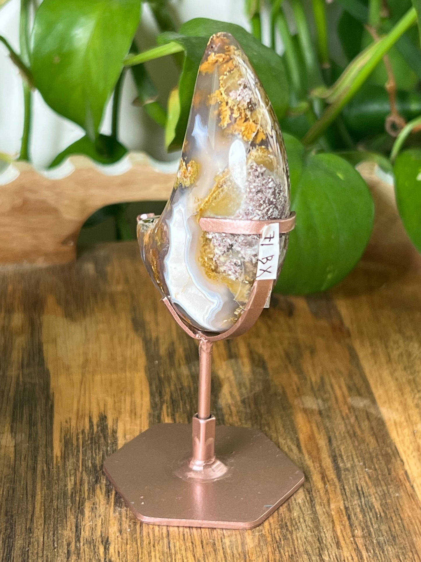 Scenic Moss Agate Moon
