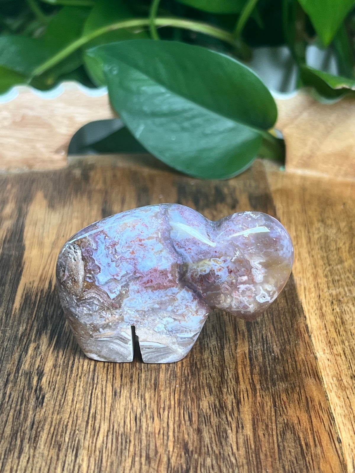 Sumatra Plume Agate Mini Buffalo: DK