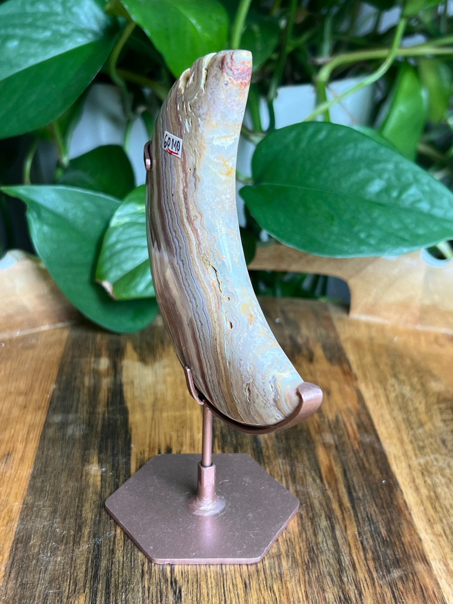 Crazy Lace Agate Moon: MO