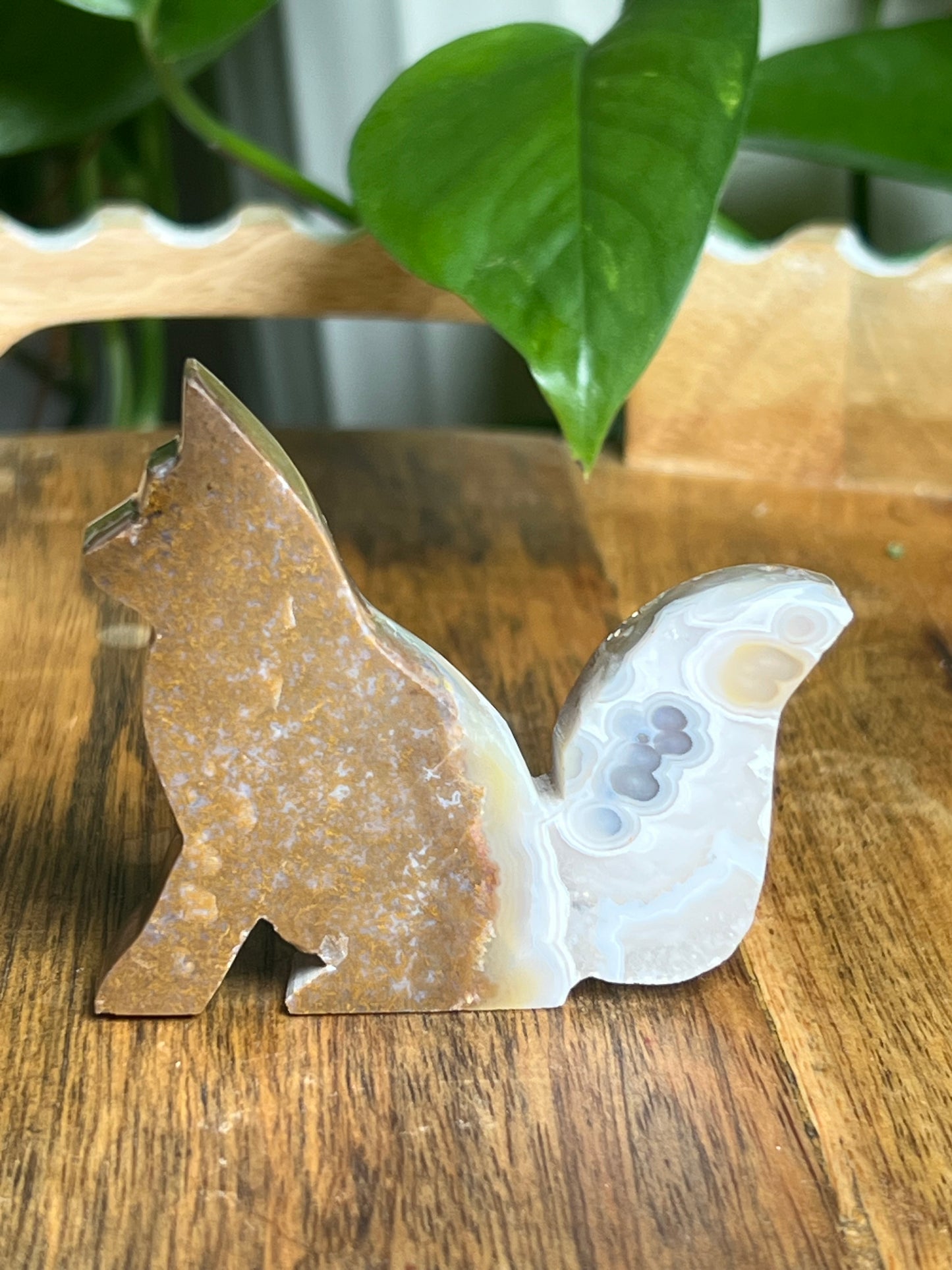 Scenic Moss Agate Fox Pi