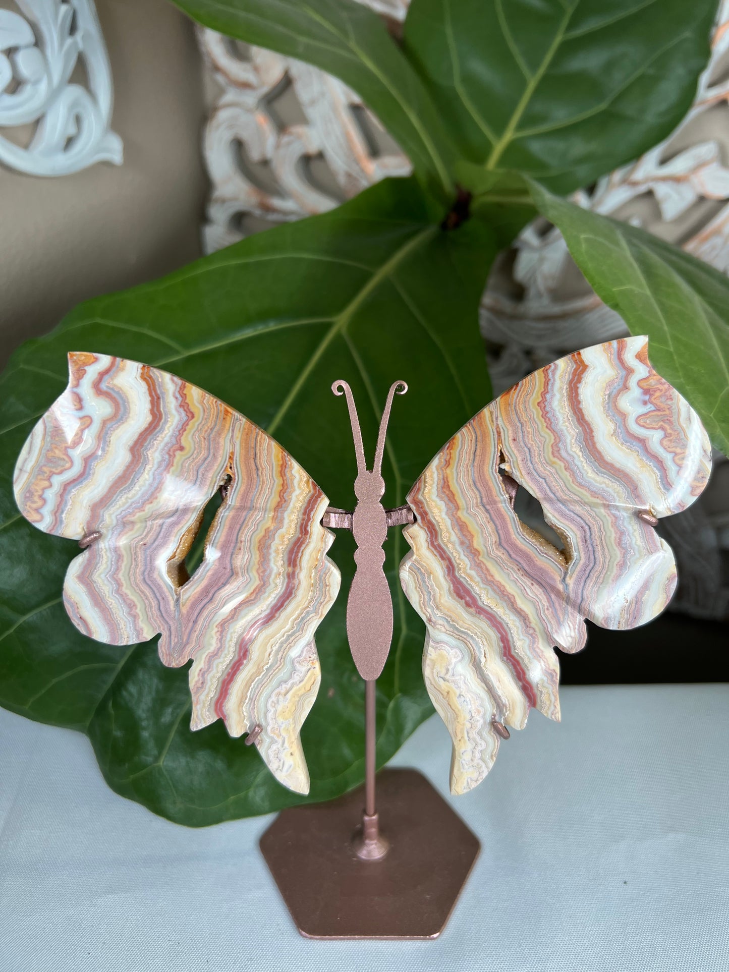 Crazy Lace Agate Wings