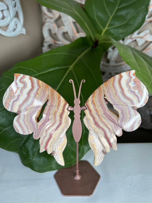 Crazy Lace Agate Wings