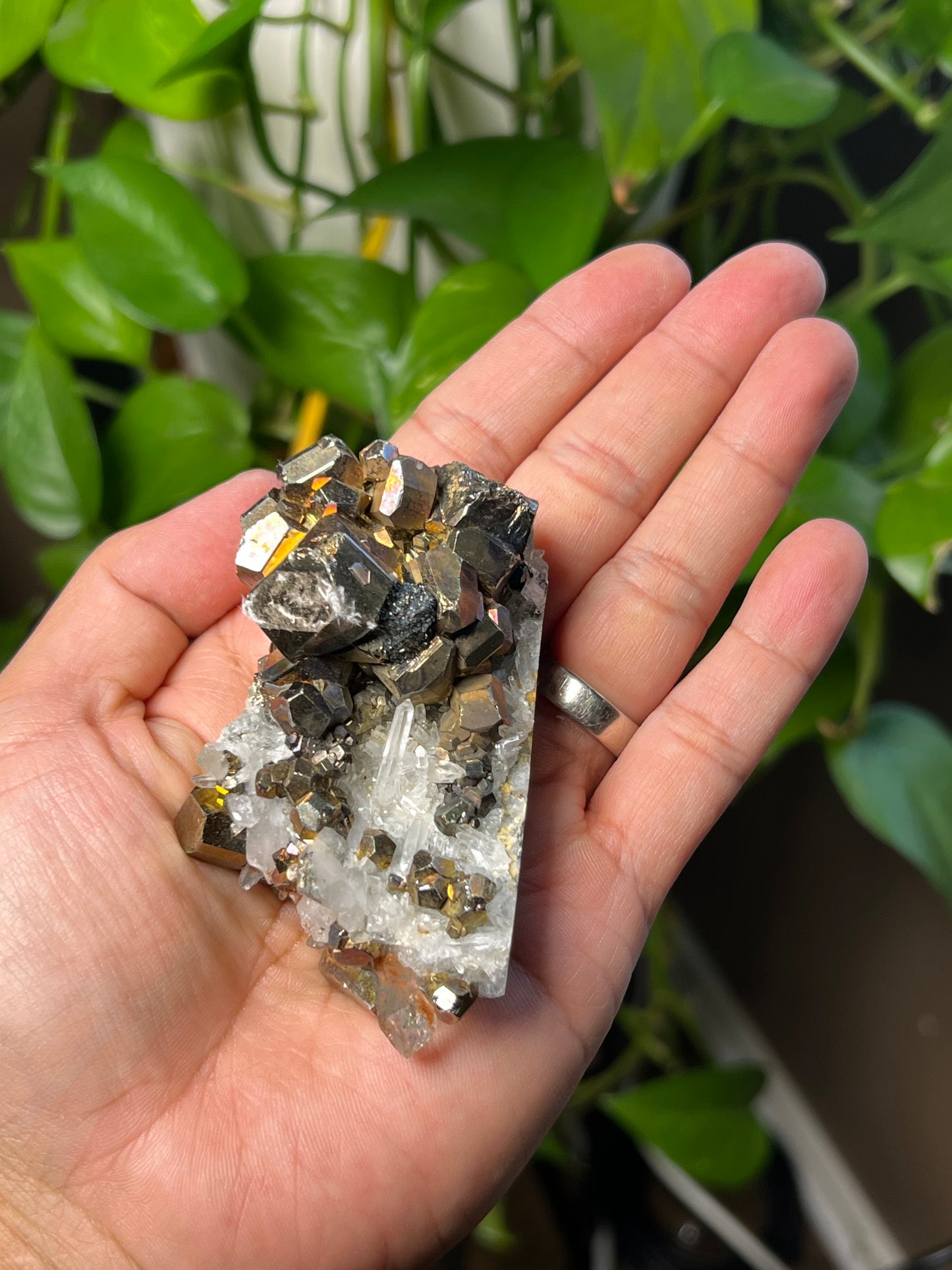 Rainbow Pyrite Quartz