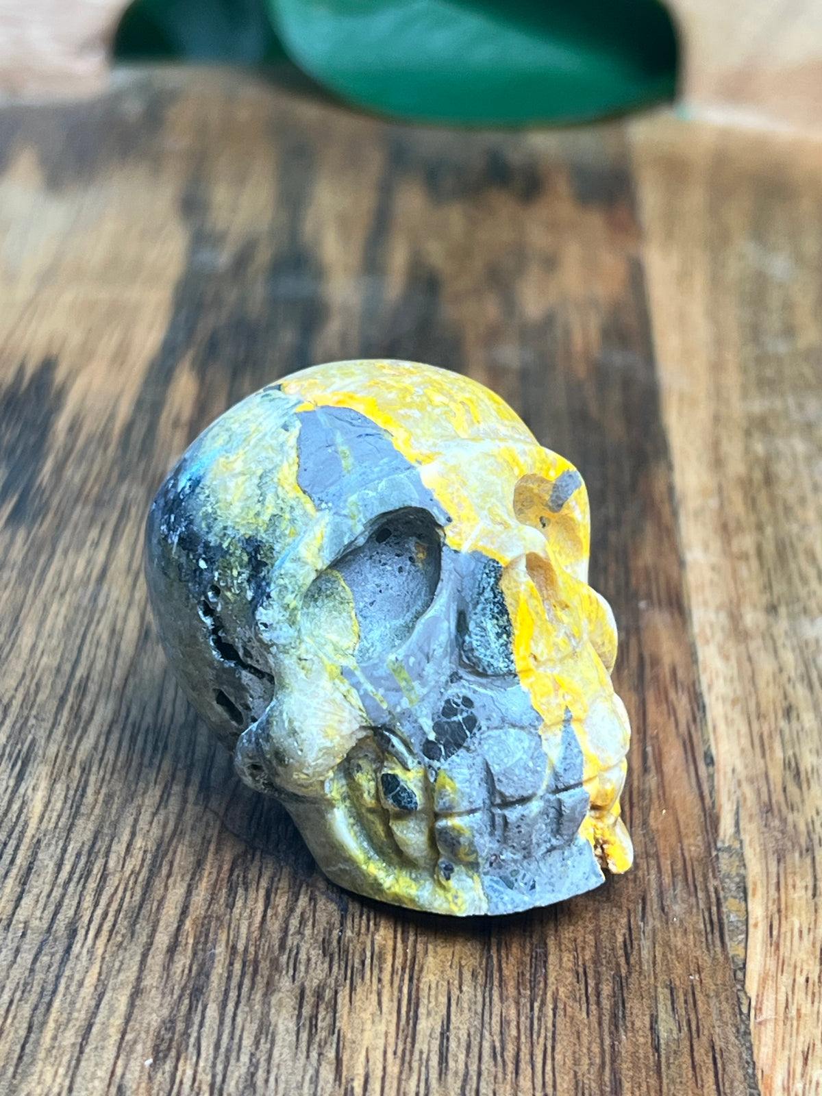 Bumblebee Jasper Mini Skull: C