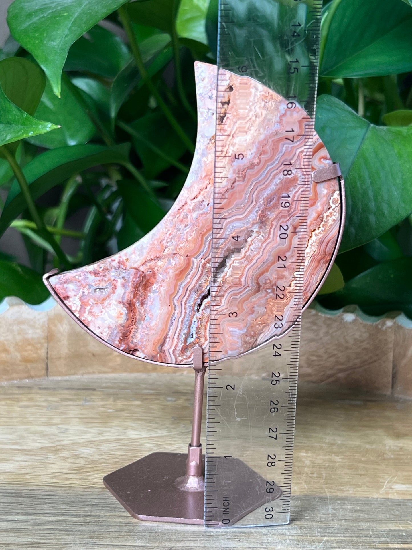 Crazy Lace Agate Moon