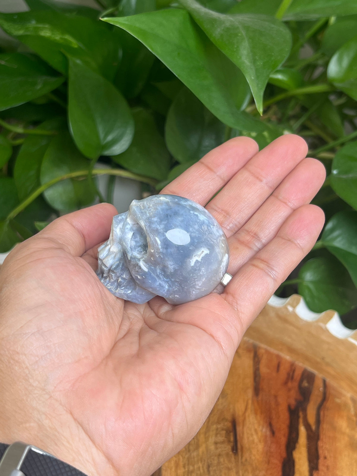 Blue Plume Agate Skull: E