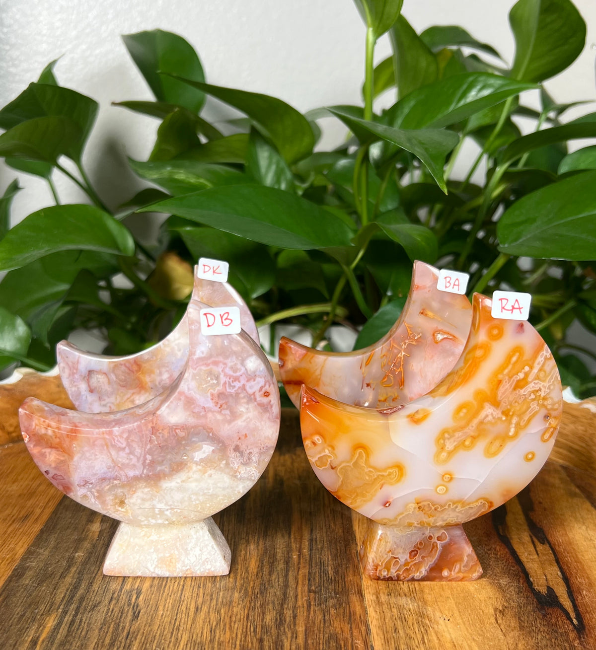 Carnelian Self Standing Moons