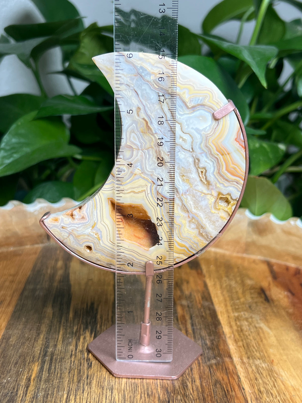 Yellow Crazy Lace Agate Moon: ZA