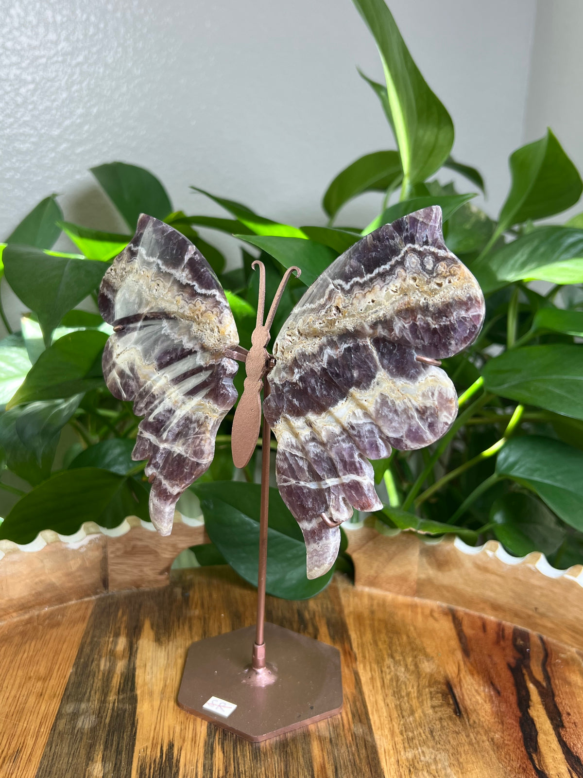 Indonesian Amethyst Wings : SR
