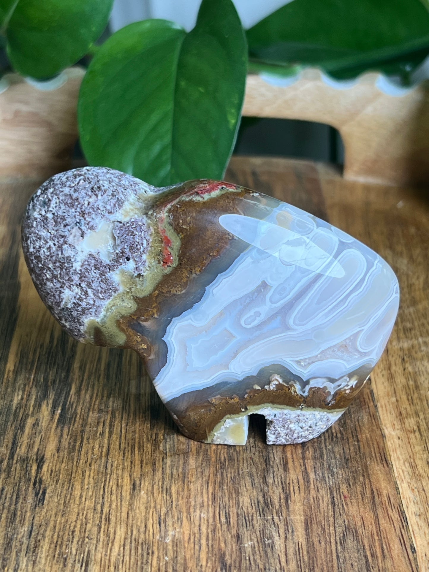 Scenic Moss Agate Buffalo N