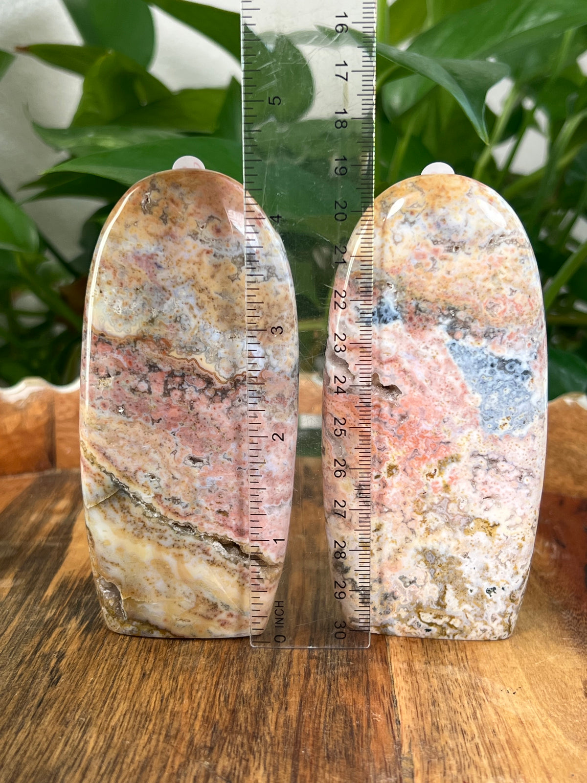 Sea Jasper Freeforms