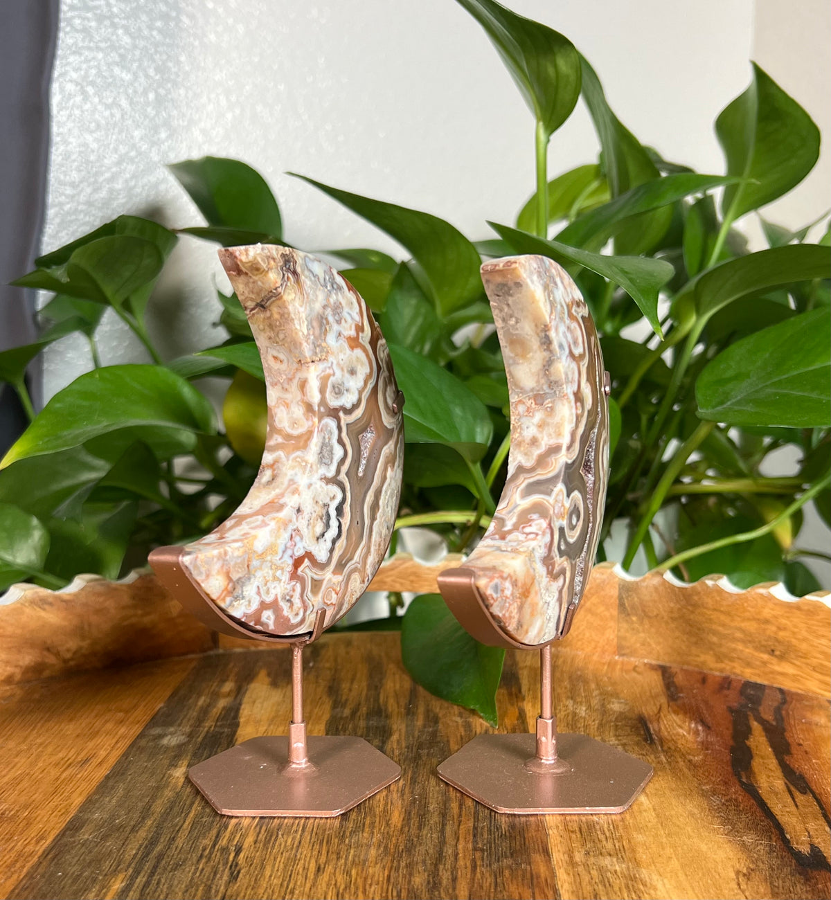 Crazy Lace Agate Moons