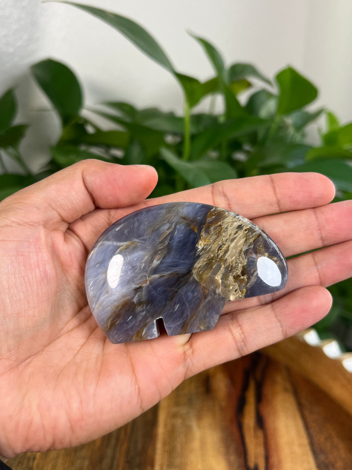 Purple Chalcedony Bear: D