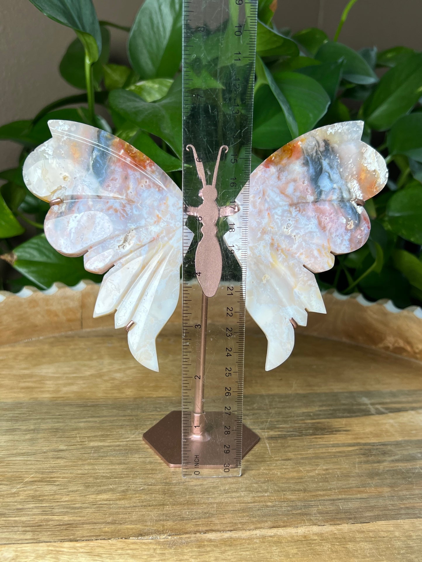 Rainbow Plume Agate Wings