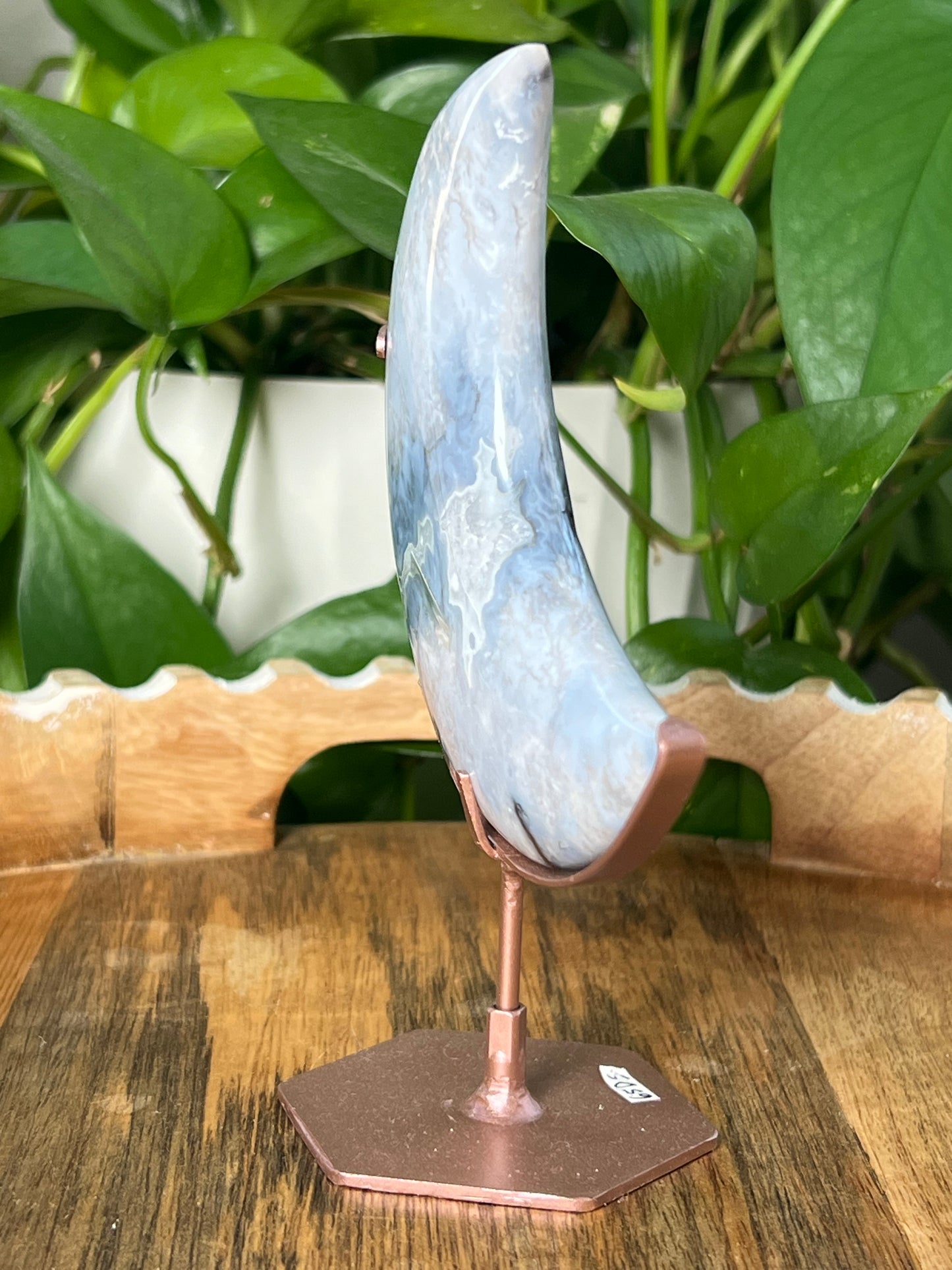 Blue Plume Agate Wings
