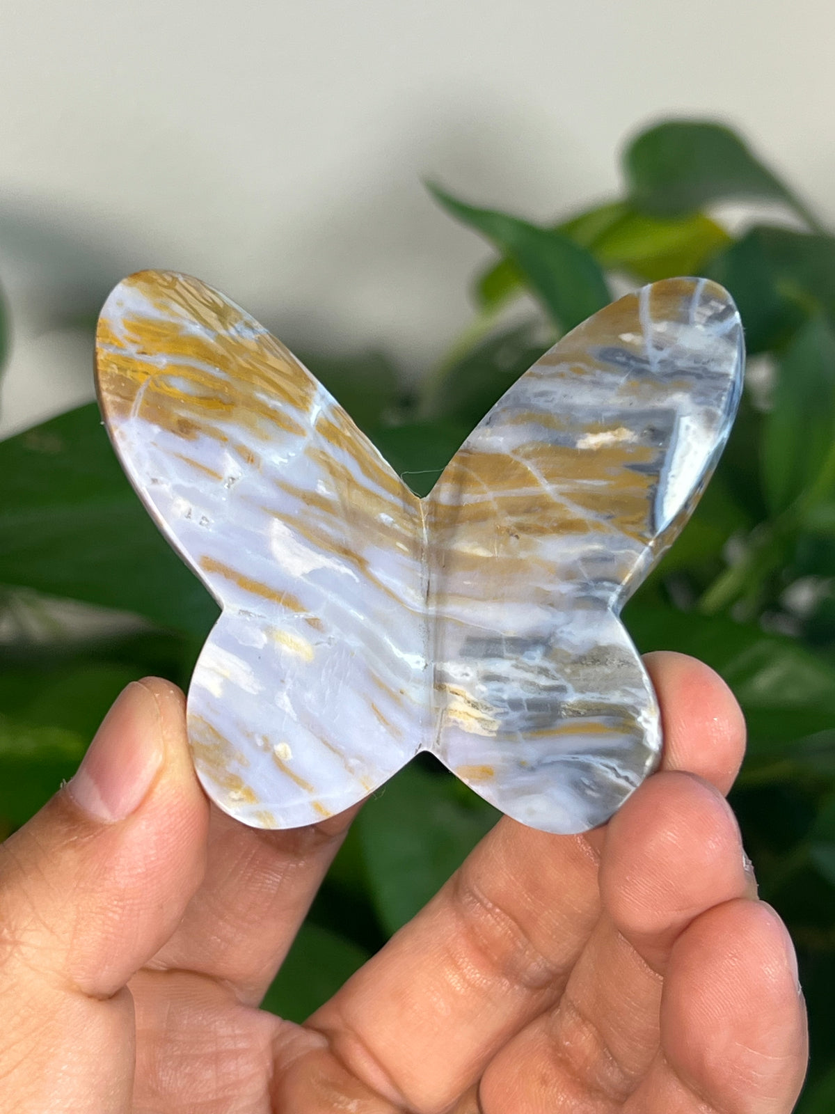 Milky River Jasper 3D Butterflies
