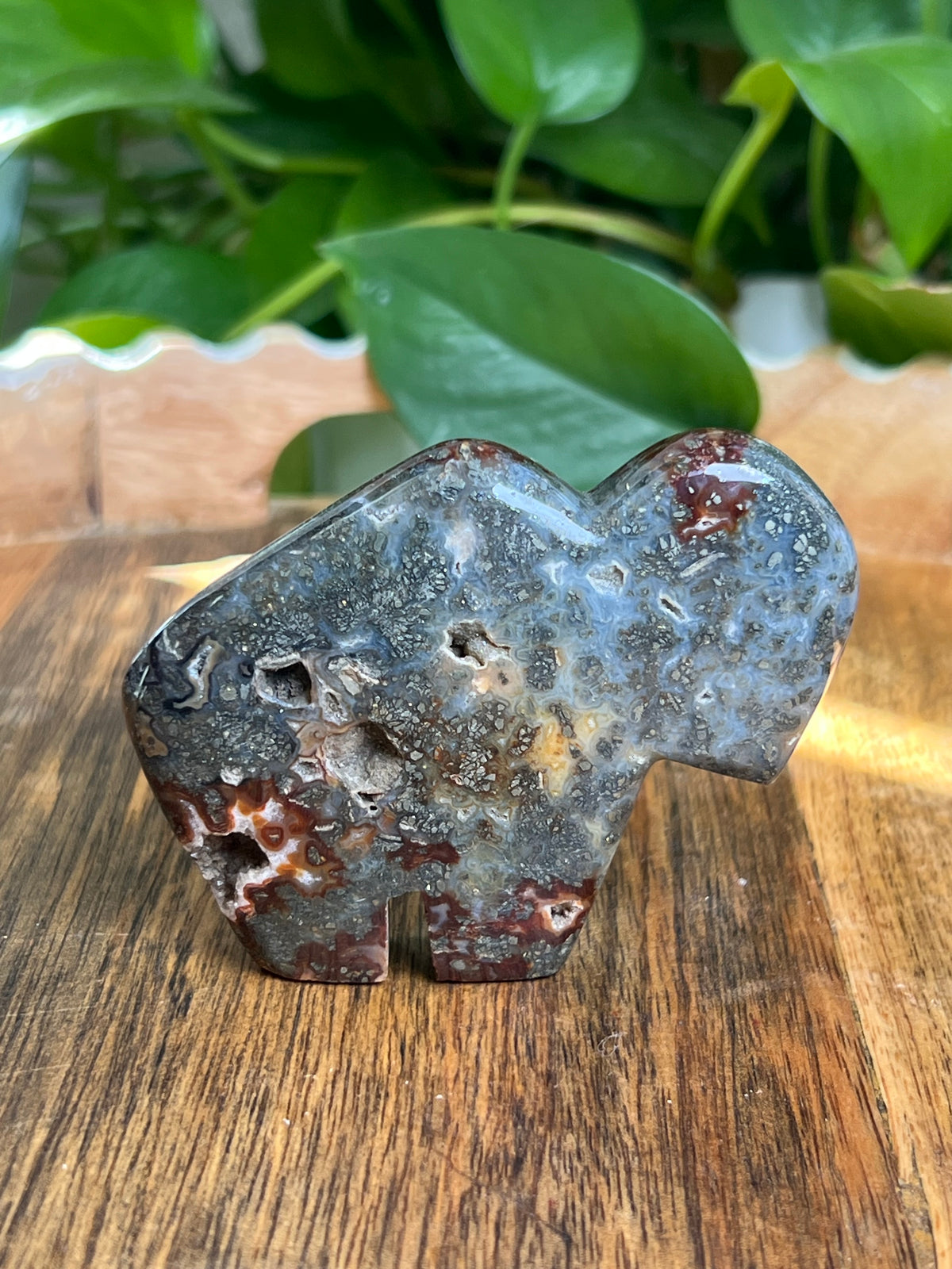 Marcasite Buffalo: CC