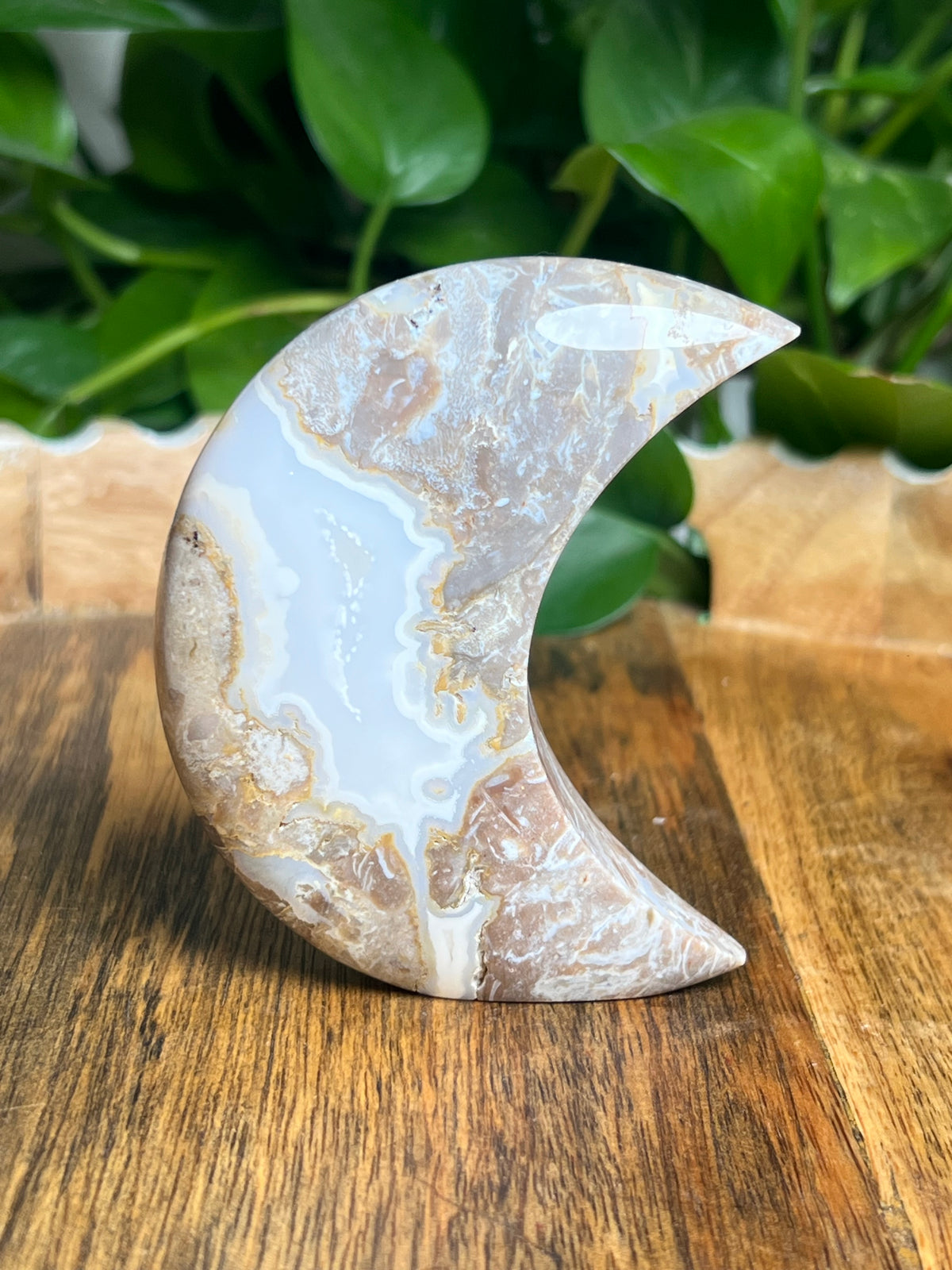 Sumatra Plume Agate Self-Standing Moon: NC