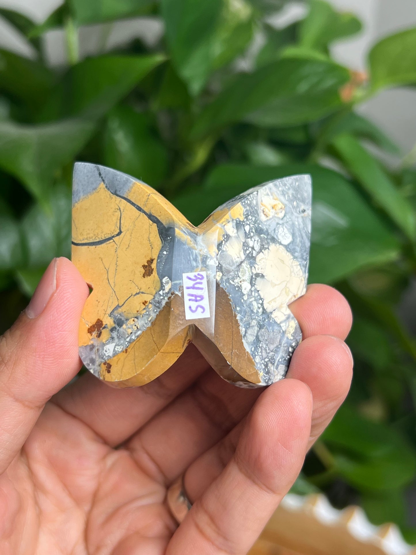 Maligano 3D Butterfly: AS